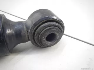 2213205613 Mercedes Benz Амортизатор задний правый Mercedes S W221 Арт E70572057, вид 2