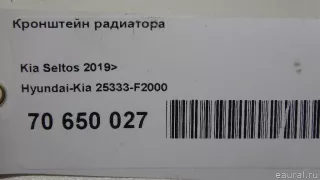 25333F2000 Hyundai-Kia Кронштейн радиатора Kia Seltos Арт E70650027, вид 7