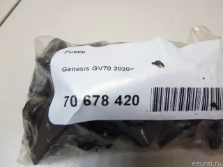 245513N100 Hyundai-Kia Коромысло клапана Genesis GV70 Арт E70678420, вид 8