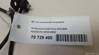 391802F600 Hyundai-Kia Датчик коленвала Hyundai Santa FE 4 (TM) restailing Арт E70729400, вид 8
