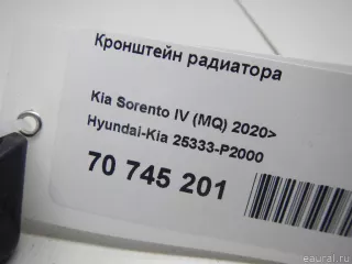 25333P2000 Hyundai-Kia Кронштейн радиатора Kia Sorento 4 Арт E70745201, вид 8