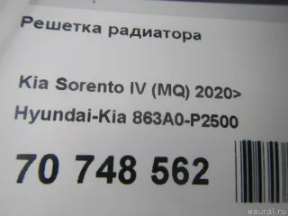 863A0P2500 Hyundai-Kia Решетка радиатора Kia Sorento 4 Арт E70748562, вид 12