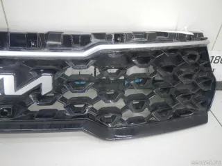 863A0P2500 Hyundai-Kia Решетка радиатора Kia Sorento 4 Арт E70748562, вид 4