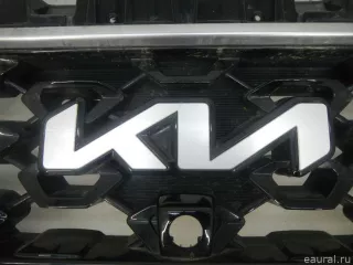 863A0P2500 Hyundai-Kia Решетка радиатора Kia Sorento 4 Арт E70748562, вид 6