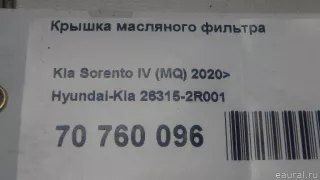 263152R001 Hyundai-Kia Корпус масляного фильтра Kia Carnival 4 Арт E70760096, вид 9
