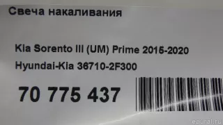 367102F300 Hyundai-Kia Свеча накала Kia Sorento 3 restailing Арт E70775437, вид 6
