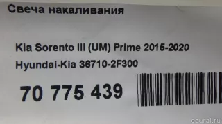 367102F300 Hyundai-Kia Свеча накала Kia Sorento 3 restailing Арт E70775439, вид 6