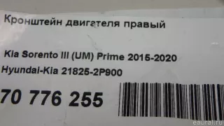 218252P900 Hyundai-Kia Кронштейн двигателя правый Kia Sorento 3 restailing Арт E70776255, вид 5