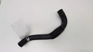 254532R000 Hyundai-Kia Шланг системы охлаждения Kia Carnival 4 Арт E70777434, вид 6