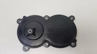 243002R000 Hyundai-Kia Крышка распредвала Kia Carnival 4 Арт E70783912