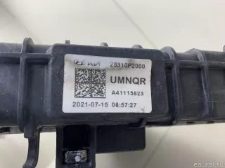 25310P2000 Hyundai-Kia Радиатор основной Kia Sorento 4 Арт E70786306, вид 6