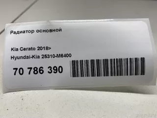 25310M6400 Hyundai-Kia Радиатор основной Kia Cerato 4 Арт E70786390, вид 12