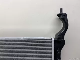 25310M6400 Hyundai-Kia Радиатор основной Kia Cerato 4 Арт E70786390, вид 10