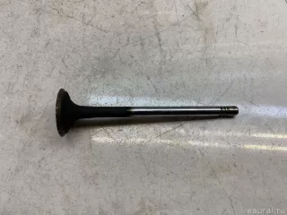 036109611K VAG Клапан выпускной Seat Cordoba 1 restailing Арт E90353024, вид 1