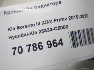 25333C5000 Hyundai-Kia Кронштейн радиатора Kia Sorento 3 restailing Арт E70786964, вид 8