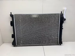 253103X011 Hyundai-Kia Радиатор основной Hyundai i30 GD Арт E70788075, вид 9
