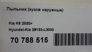 29133L3000 Hyundai-Kia Пыльник (кузов наружные) Kia K5 3 Арт E70788515, вид 6