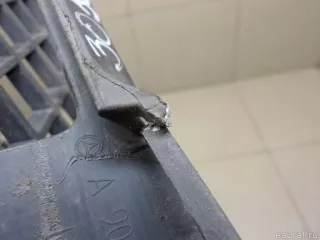 90688500539051 Mercedes Benz Решетка в бампер центральная Mercedes Sprinter W906 Арт E30584347, вид 4