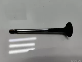 03C109612 VAG Клапан выпускной Audi A3 8P Арт E90452687, вид 1