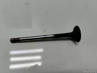 03C109612 VAG Клапан выпускной Audi A3 8P Арт E90452689, вид 1