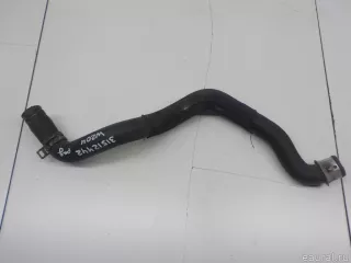 2045010982 Mercedes Benz Патрубок радиатора Mercedes E C207 Арт E31512442, вид 3