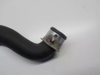 2045010982 Mercedes Benz Патрубок радиатора Mercedes E C207 Арт E31512442, вид 4