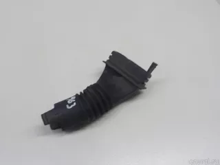 12521740070 BMW Гофра BMW 5 E39 Арт E52454963, вид 1