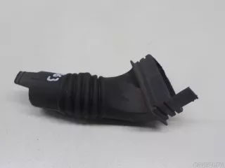 12521740070 BMW Гофра BMW 5 E39 Арт E52454963, вид 7