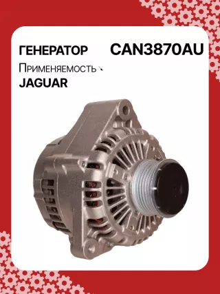 115787,CAL40271,1022110870,1X4310300CB,1X43CB,C2S3710,ALN3870AN,ALN3870DD,ALN3870MQ,ALN3870UX,ALN3870YJ,ALN3870YX,ALN3870RB,ALN3870WA,13926N,13926N,301N20571Z Генератор Jaguar X-Type Арт CAN3870RG-4, вид 2