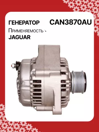 115787,CAL40271,1022110870,1X4310300CB,1X43CB,C2S3710,ALN3870AN,ALN3870DD,ALN3870MQ,ALN3870UX,ALN3870YJ,ALN3870YX,ALN3870RB,ALN3870WA,13926N,13926N,301N20571Z Генератор Jaguar X-Type Арт CAN3870RG-4, вид 3
