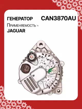115787,CAL40271,1022110870,1X4310300CB,1X43CB,C2S3710,ALN3870AN,ALN3870DD,ALN3870MQ,ALN3870UX,ALN3870YJ,ALN3870YX,ALN3870RB,ALN3870WA,13926N,13926N,301N20571Z Генератор Jaguar X-Type Арт CAN3870RG-4, вид 4