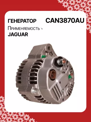 115787,CAL40271,1022110870,1X4310300CB,1X43CB,C2S3710,ALN3870AN,ALN3870DD,ALN3870MQ,ALN3870UX,ALN3870YJ,ALN3870YX,ALN3870RB,ALN3870WA,13926N,13926N,301N20571Z Генератор Jaguar X-Type Арт CAN3870RG-4, вид 5