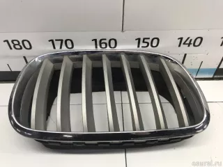 51137171396 BMW Решетка радиатора BMW X6 E71/E72 Арт E31674014, вид 1