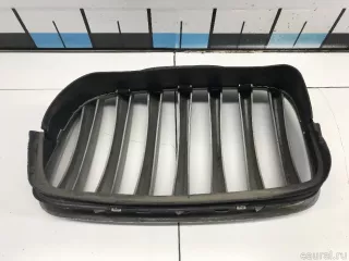 51137171396 BMW Решетка радиатора BMW X6 E71/E72 Арт E31674014, вид 12