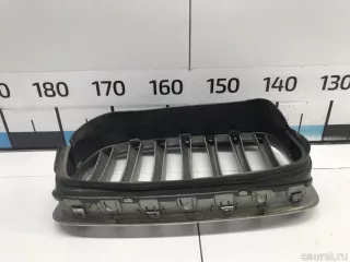 51137171396 BMW Решетка радиатора BMW X6 E71/E72 Арт E31674014, вид 6
