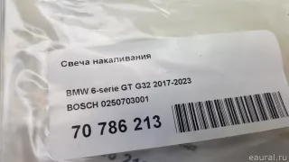 0250703001 BOSCH Свеча накала BMW X6 F16 Арт E70786213, вид 5
