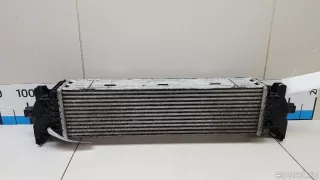 17518576509 BMW Интеркулер BMW 7 G11/G12 Арт E70784631, вид 1