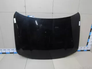 41007484213 BMW Капот BMW X2 F39 Арт E81026980, вид 1