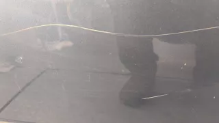 7M3833105 Дверь задняя левая синяя Volkswagen Sharan 1 restailing Арт 20224410, вид 4