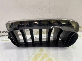 7316076 Решетка радиатора BMW X5 F15 Арт TP115855, вид 11