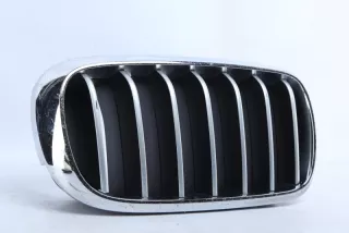7316076 Решетка радиатора BMW X5 F15 Арт TP115855, вид 2
