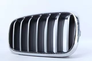 7316076 Решетка радиатора BMW X5 F15 Арт TP115855, вид 3