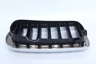 7316076 Решетка радиатора BMW X5 F15 Арт TP115855, вид 4