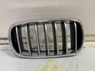 7316076 Решетка радиатора BMW X5 F15 Арт TP115855, вид 6