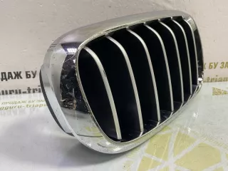 7316076 Решетка радиатора BMW X5 F15 Арт TP115855, вид 7