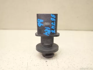 8N0953053 VAG Патрон указателя поворота Audi A5 (S5,RS5) 1 Арт E95747184, вид 1
