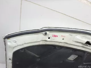 6510095F0C Nissan Капот Nissan Almera G15 Арт E95770866, вид 13