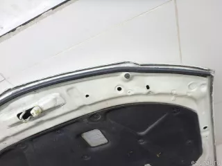 6510095F0C Nissan Капот Nissan Almera G15 Арт E95770866, вид 14