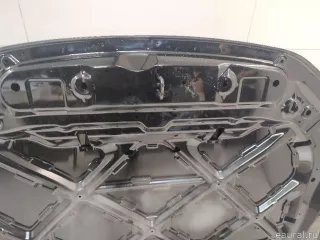8402100XST01A Great Wall Капот Haval Jolion Арт E23748446, вид 9