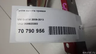 1KM823302 VAG Петля капота правая Volkswagen Jetta 5 Арт E70790956, вид 5